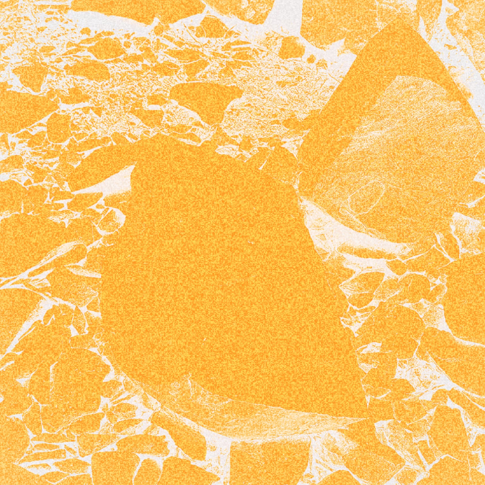TODO: Official Visualizer #02